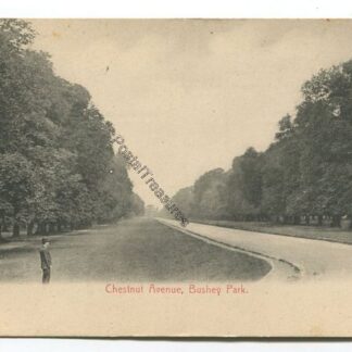 chestnut-avenue-bushey-park-3482