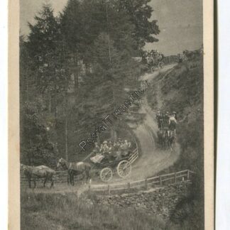 devils-elbow-newlands-valley-3343