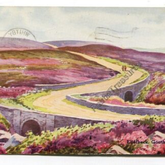 ellerbeck-goathland-moors-3421