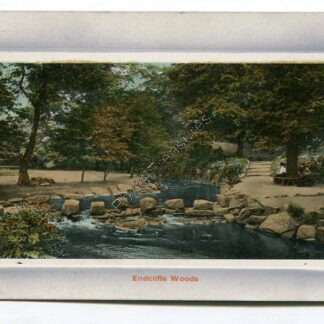 endcliffe-woods-3317