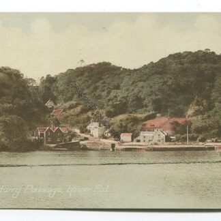 king-harry-passage-river-fal-3449