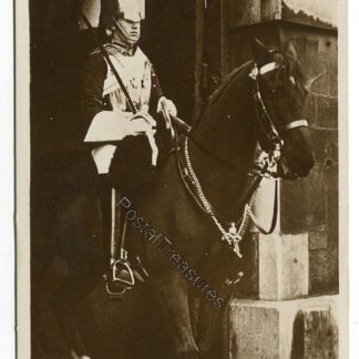 lifeguardsman-on-duty-at-whitehall-london-3408