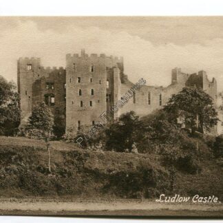 ludlow-castle-3360