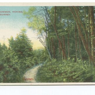 mabury-common-woking-surrey-3547