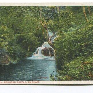 percy-beck-barnard-castle-durham-3554