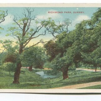 richmond-park-surrey-3548