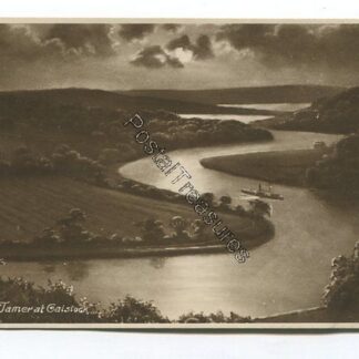 river-tamer-at-calstock-3522