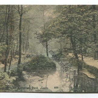 roundhay-park-leeds-3517