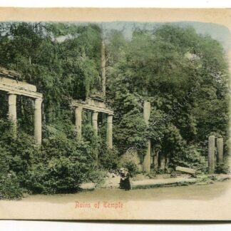 ruins-of-temple-virginia-water-3383