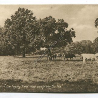 stoke-poges-the-lowering-herd-winding-slowly-o-er-the-lea-3322