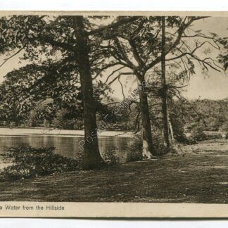 virginia-water-from-the-hillside-3314
