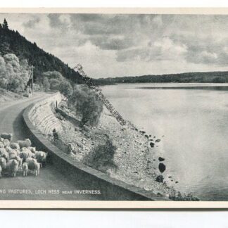 changing-pastures-loch-ness-near-inverness-3618