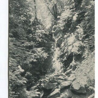 glen-morag-dunoon-3639