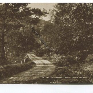 in-the-trossachs-where-twines-the-path-3623