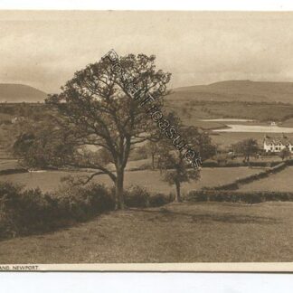 little-switzerland-newport-3585