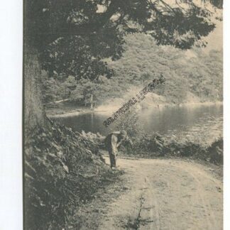 path-by-loch-katrine-3633