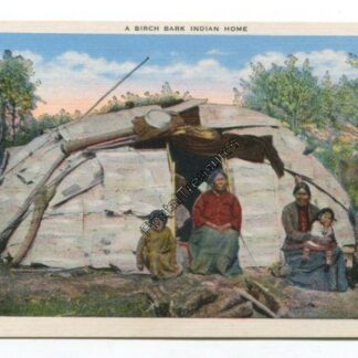 Birch Bark Indian Home