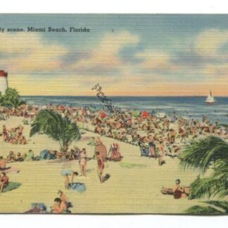 Daily Scene Miami Beach