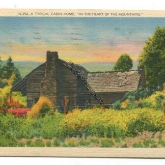 Cabin Home in Mountains