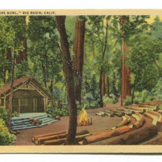 camp-fire-bowl-big-basin-calif-3802
