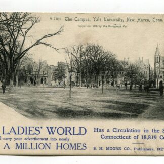 campus-yale-university-new-haven-connecticut-3666