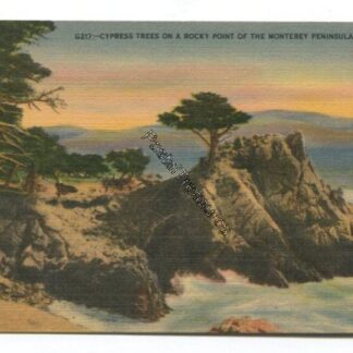 cypress-trees-on-a-rocky-point-of-the-monterey-peninsula-california-3797