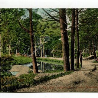 dell-laddins-rock-farm-stanford-connecticut-3663