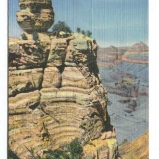 duck-on-the-rock-grand-canyon-arizona-3836