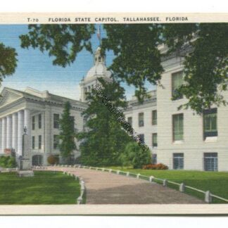 florida-state-capitol-tallahassee-florida-3767
