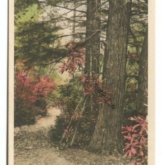 fox-trail-bushkill-falls-the-niagara-of-pennsylvania-3785