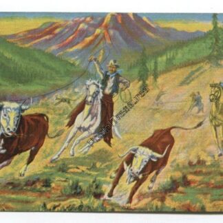 gathering-wild-cattle-3731