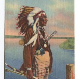 indian-chief-in-full-regalia-3736