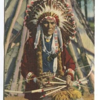 indian-chief-in-full-regalia-3738