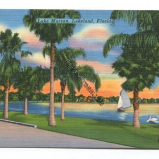 lake-morton-lakeland-florida-3827