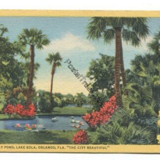 lily-pond-lake-eola-orlando-fla-the-city-beautiful-3820