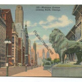 michigan-avenue-looking-north-chicago-3762