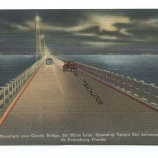 moonlight-over-gandy-bridge-six-miles-long-spanning-tampa-bay-between-tampa-and-st-petersburg-florida-3817