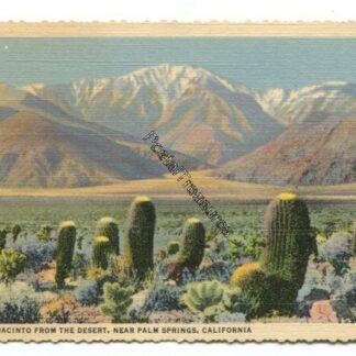 mt-san-jacinto-from-the-desert-near-palm-springs-california-3800