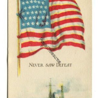 never-saw-defeat-3849