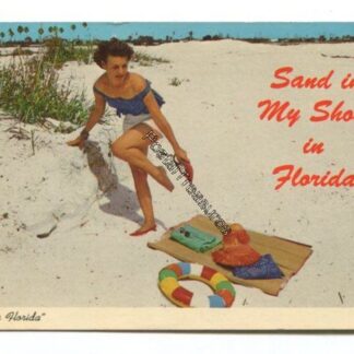 sand-in-my-shoes-in-florida-hello-from-florida-3834