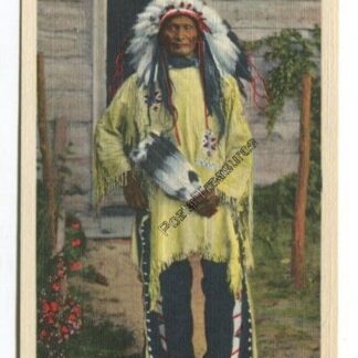 sioux-chief-standing-bear-3724