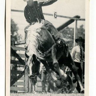 bill-iler-on-whiteway-in-broncho-riding-contest-3904