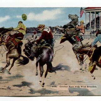 cowboy-race-with-wild-bronchos-3896