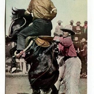 first-ride-on-a-wild-broncho-just-off-the-range-3899