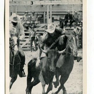 howard-mccrorey-in-cowboys-bulldogging-contest-3905