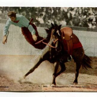 old-steamboat-the-most-famous-outlaw-of-them-all-3897