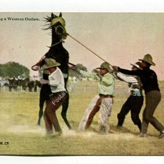 saddling-a-western-outlaw-3902