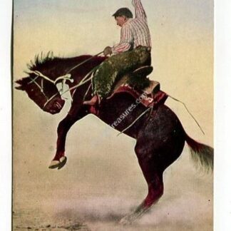 sticking-to-the-finish-a-hard-struggle-breaking-a-wild-broncho-3900