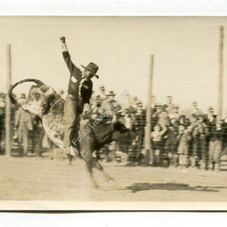 unidentified-cowboy-riding-bull-3907