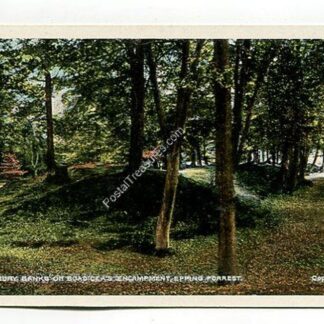 Boadicea's Encampment Epping Forest